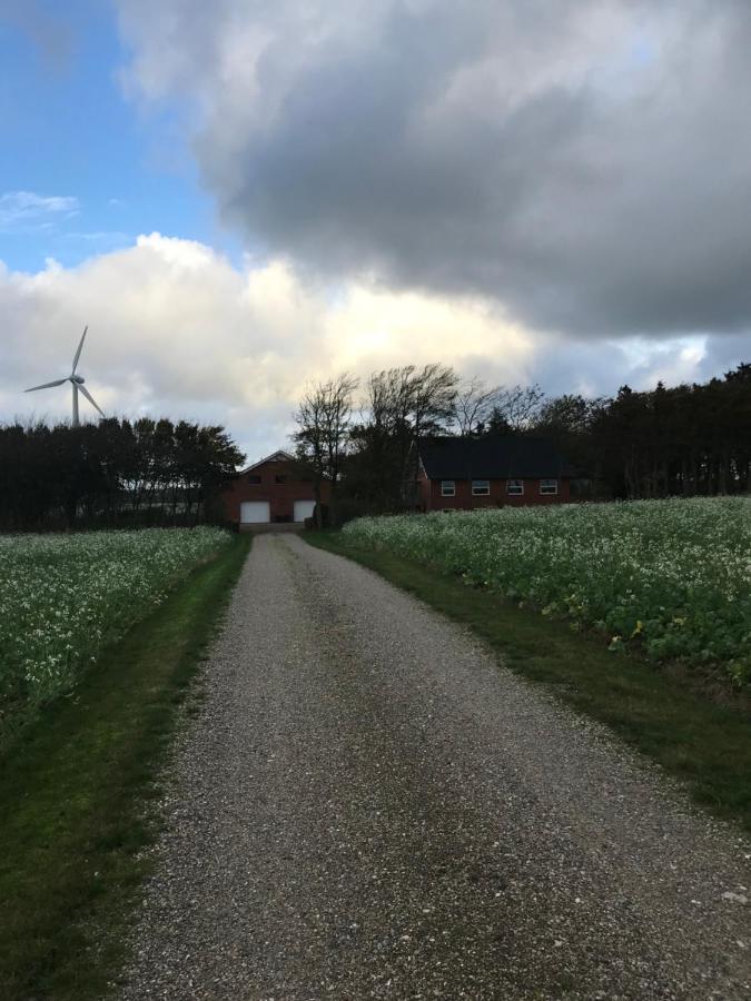 Ny Roesgaard Apartamento Lemvig Exterior foto